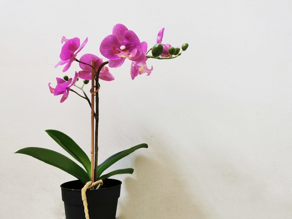 Photograph by Richard Idea