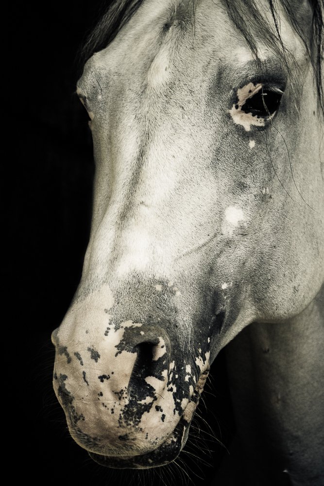 Photograph by Marielisa Iglesias