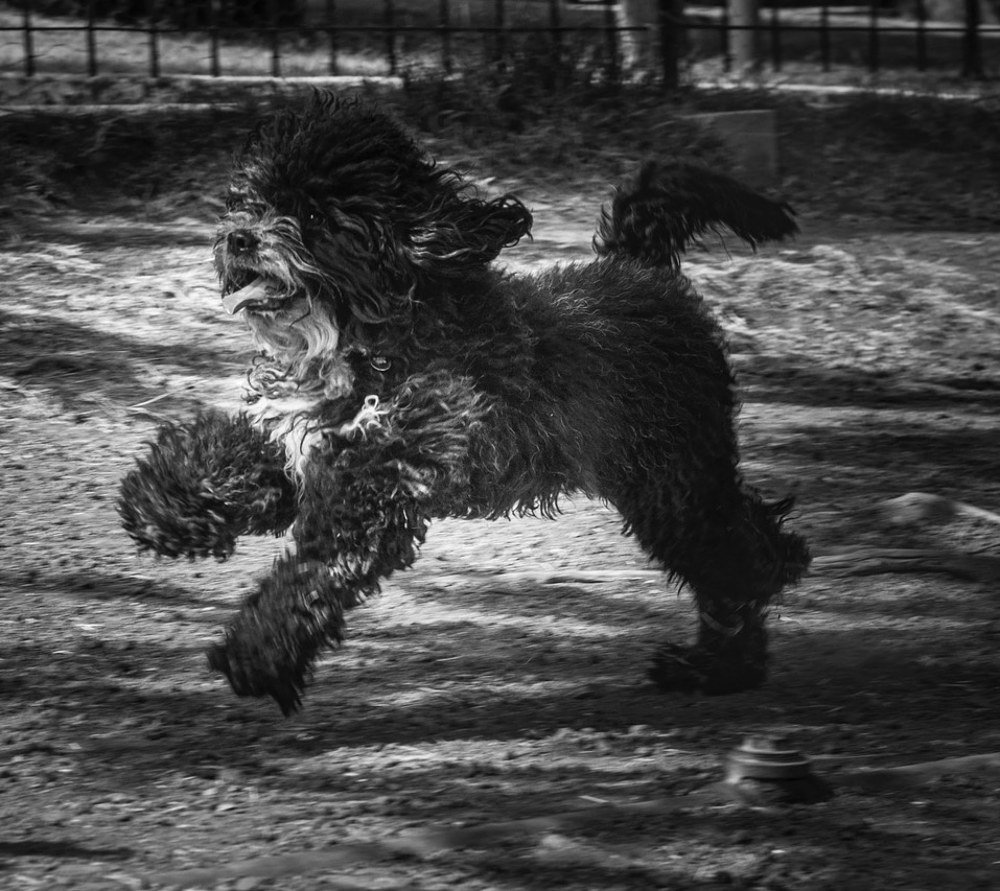 Photograph by Joaquin Silva