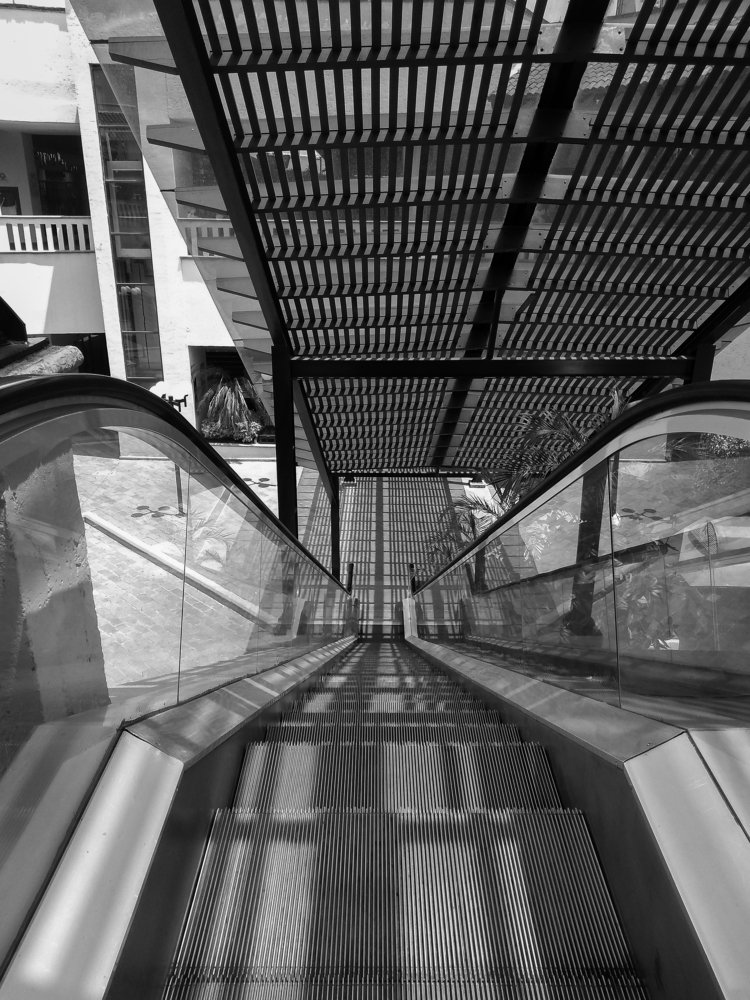 Photograph by Odette Nathzel Tapia Cristain