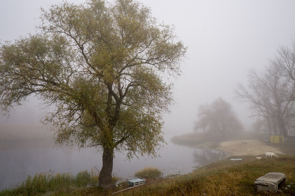 Photograph by Валерий Черняк