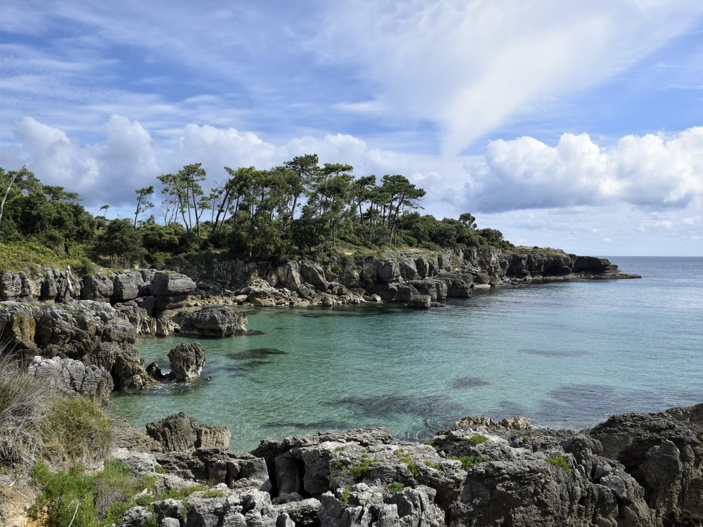 Photograph by José Ramón Domínguez