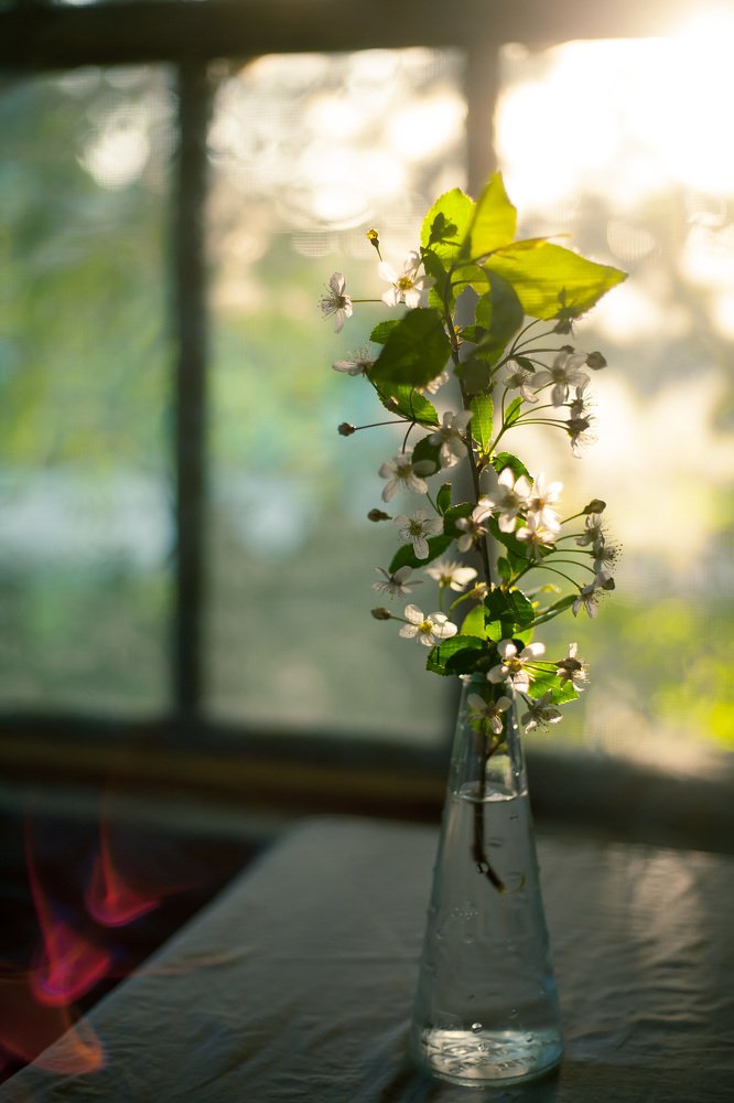 Photograph by Наталья Соболева