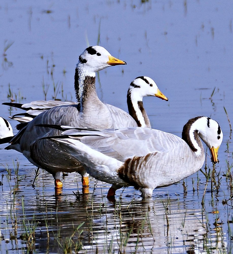 Photograph by Jay Sharan