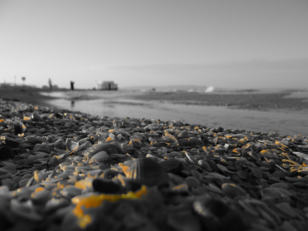 Photograph by Александра Семенихина