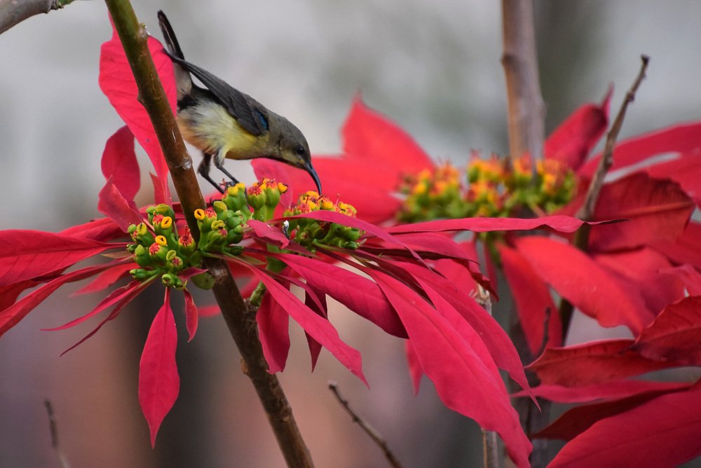 Photograph by Надежда Дорошенко