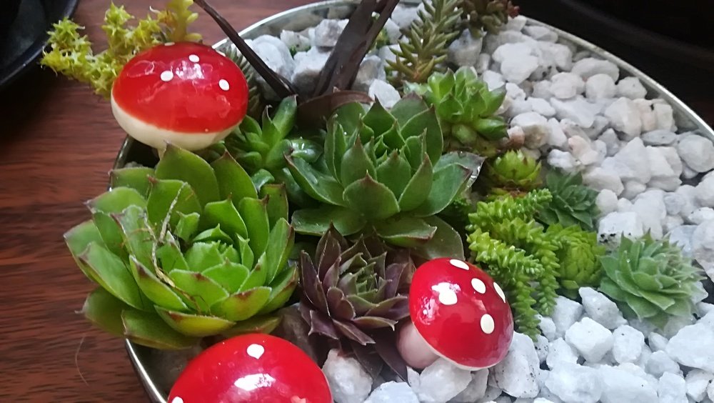 Photograph by Gemelina Opriș