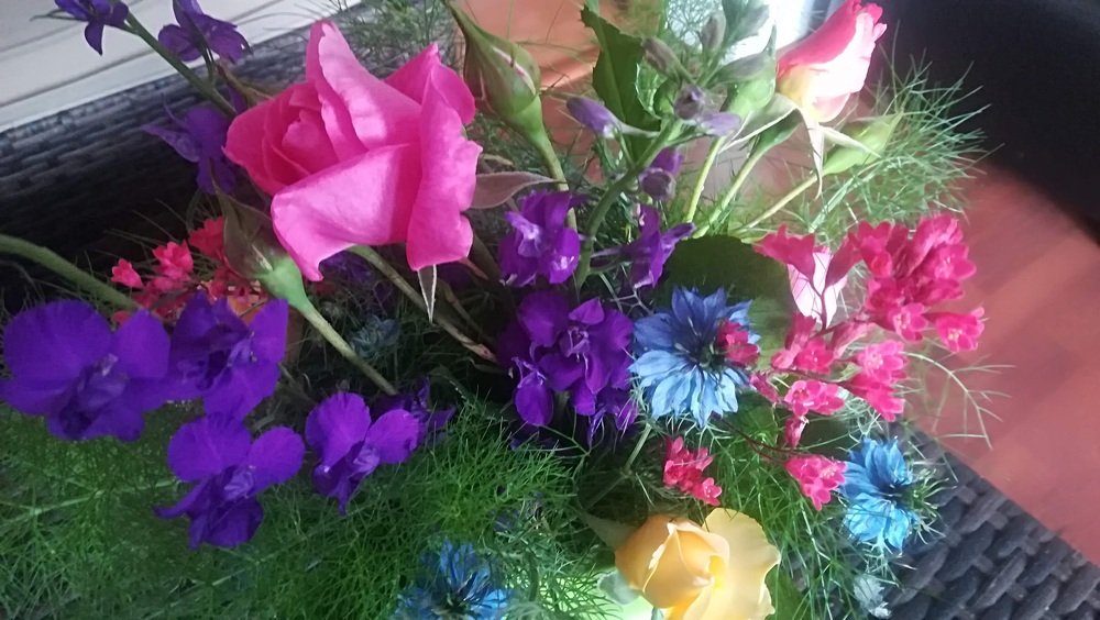 Photograph by Gemelina Opriș