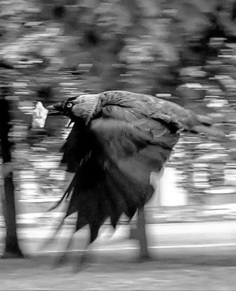 Фотография автора Валентина Рихмаер