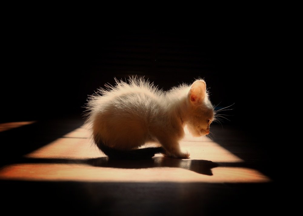 Photograph by Екатерина Петрова