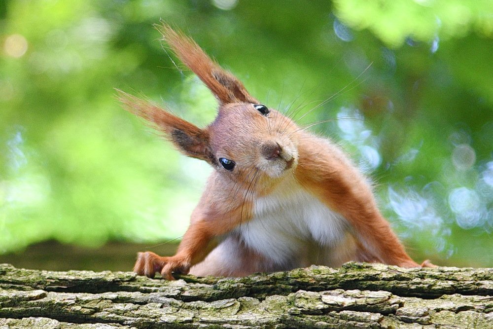 Photograph by Sergey Chebanenko