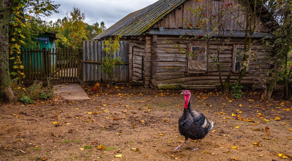 Охрана не дремлет.