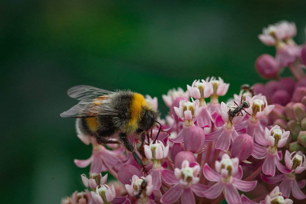 Photograph by Екатерина Аксёнова