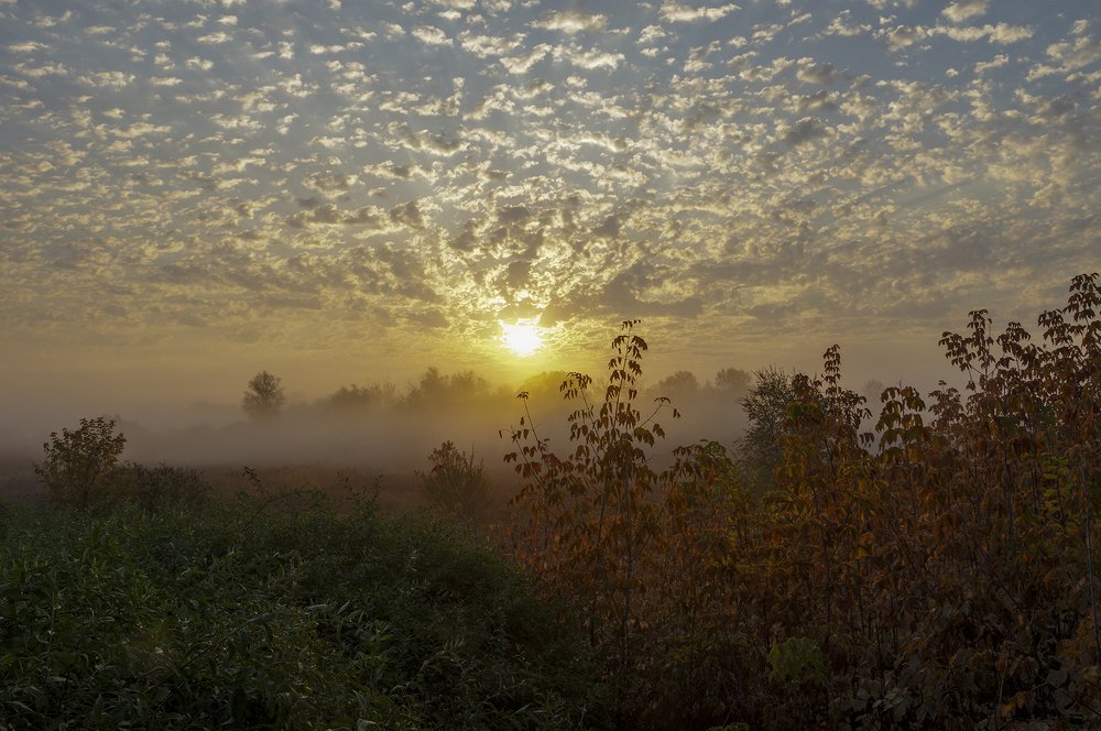 Photograph by Валерий Черняк