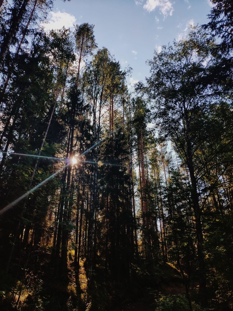 Photograph by Nikita Nat Mastryukov