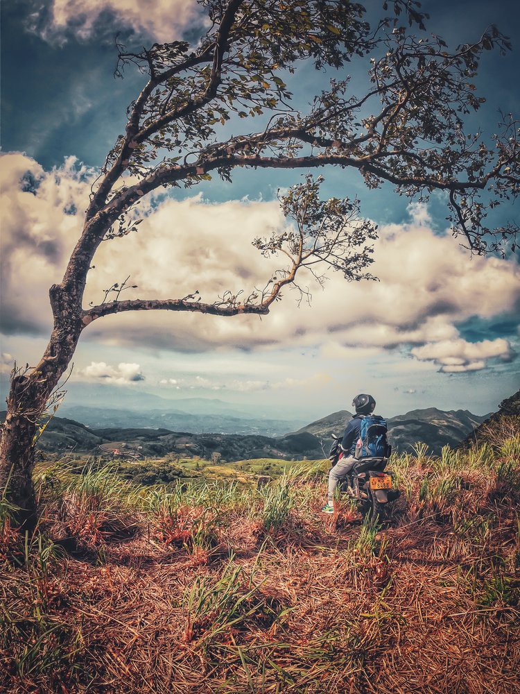 The lone rider