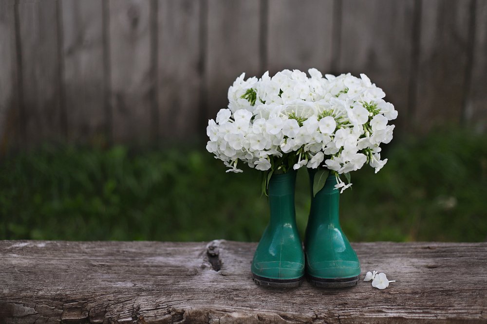 Photograph by Олеся Кучерова