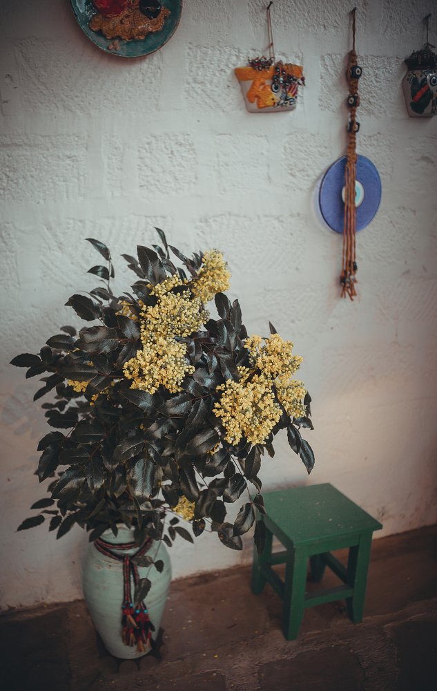 Photograph by Инга Сорокина