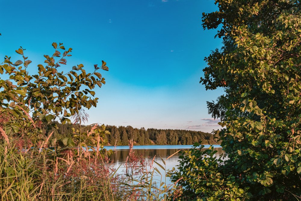 Photograph by Александр Данилов