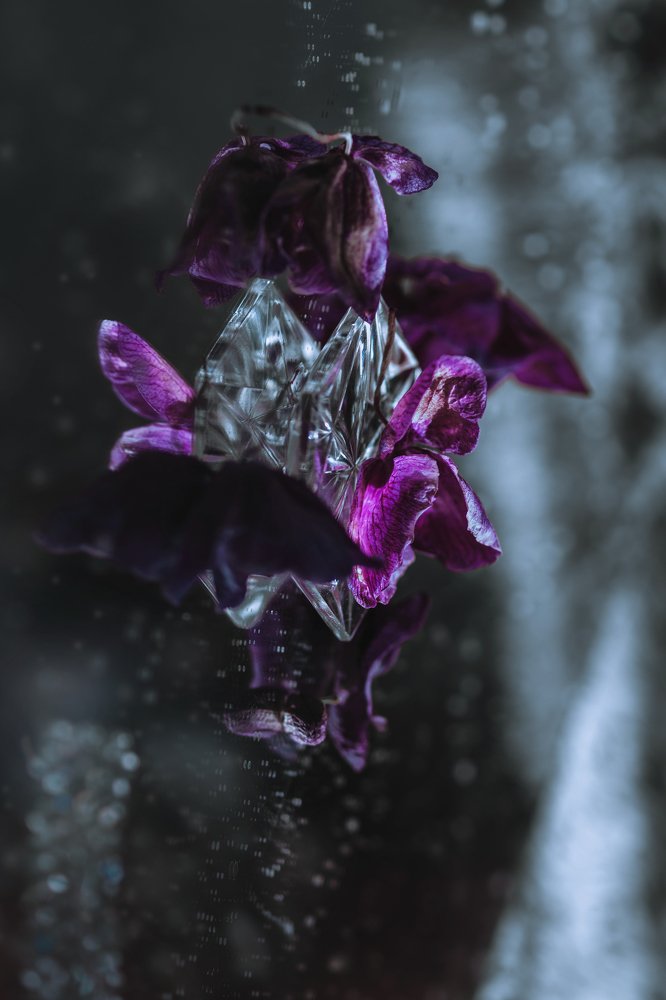 Photograph by Инна Романова