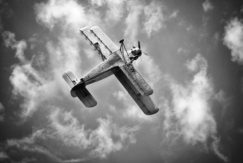 Фотография автора Анастасия Пищулова