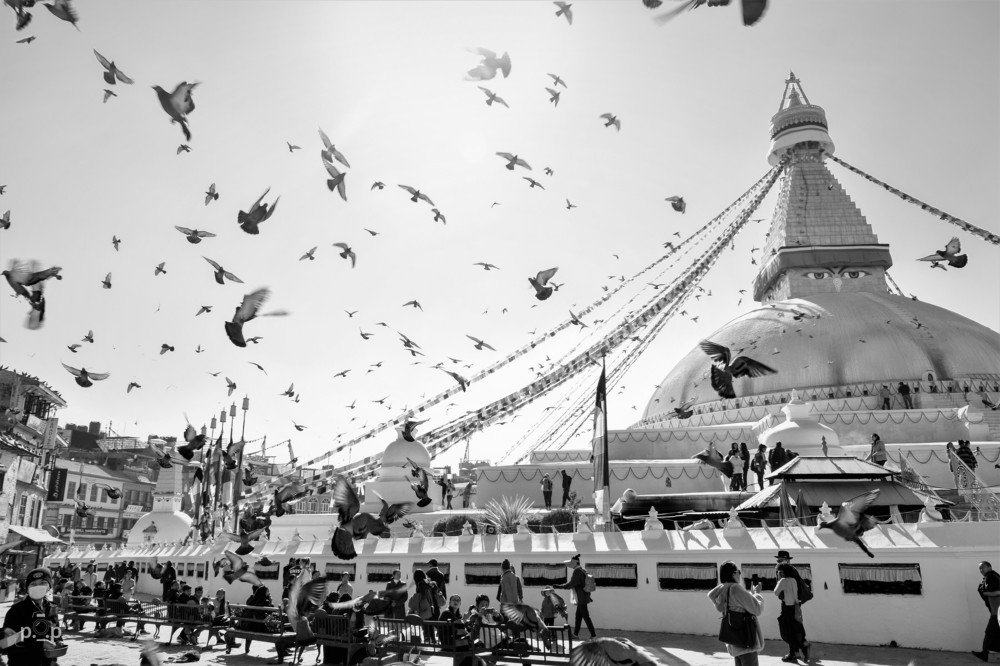 Let's fly away in peace !