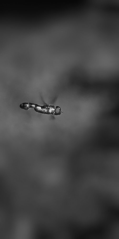 Photograph by Юлия Марфонова