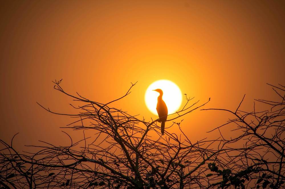 Photograph by Arindam Chowdhury