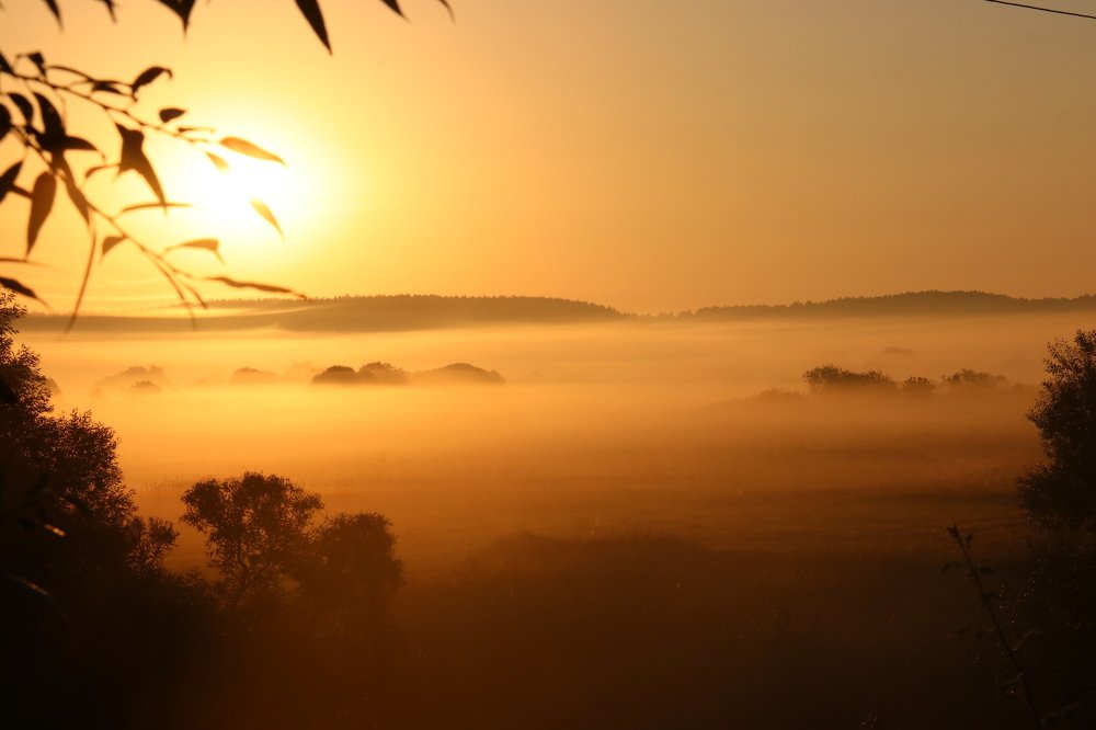 Photograph by Наталья Манусова