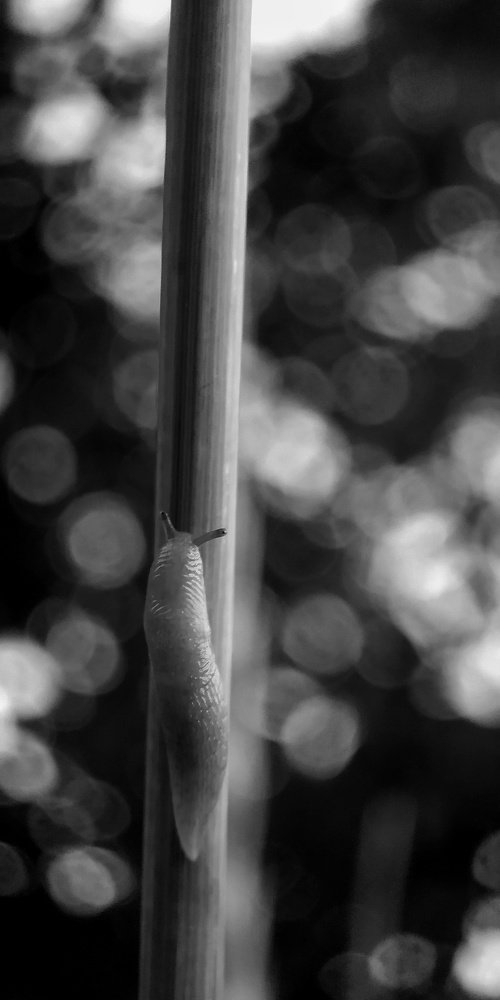 Photograph by Юлия Марфонова