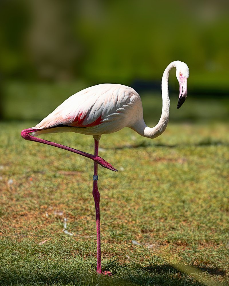 Photograph by Лея Лерер