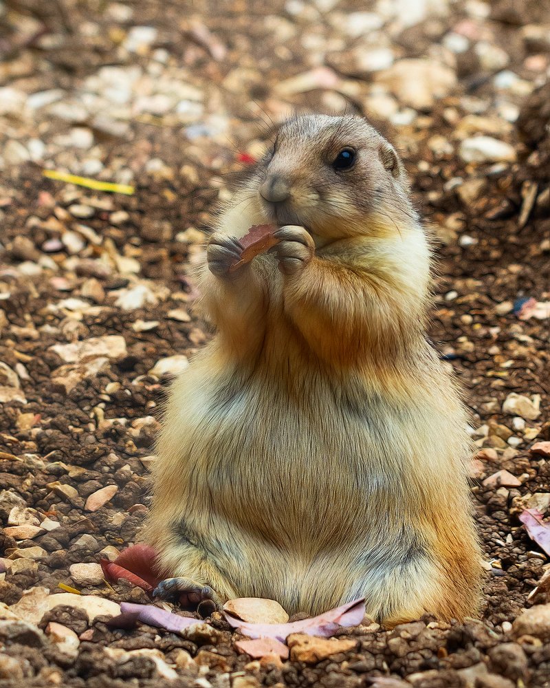 Photograph by Лея Лерер