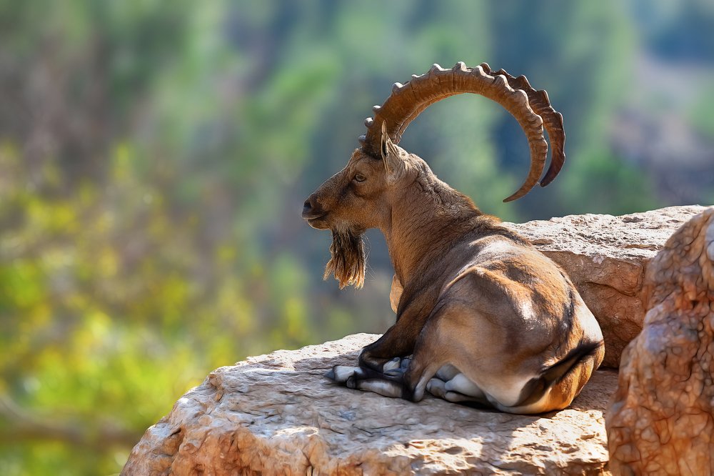 Photograph by Лея Лерер