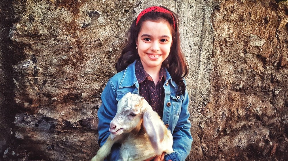 Photograph by Seyyed Mohammad Marjaie