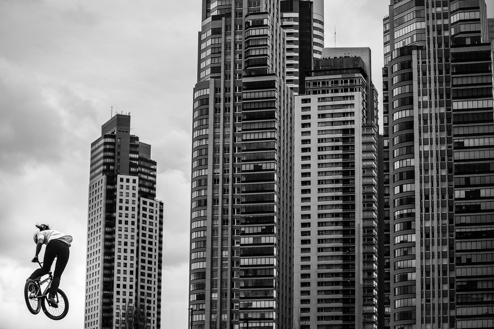 Flying high through the golden