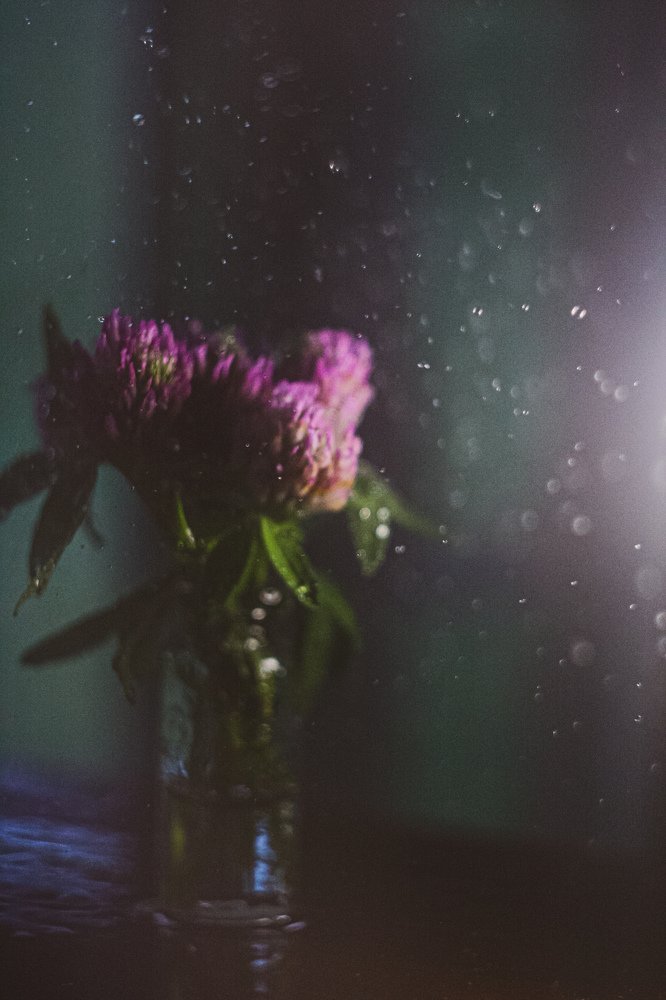 Photograph by Юлия Саморукова