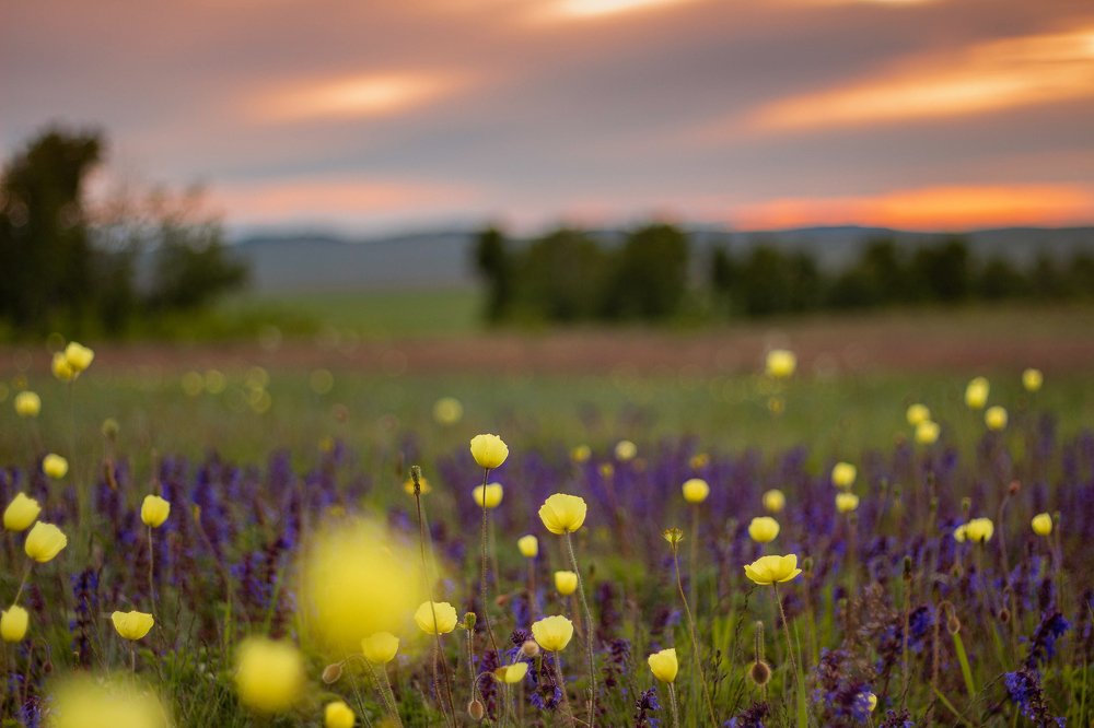 Photograph by Евгения Сосновская