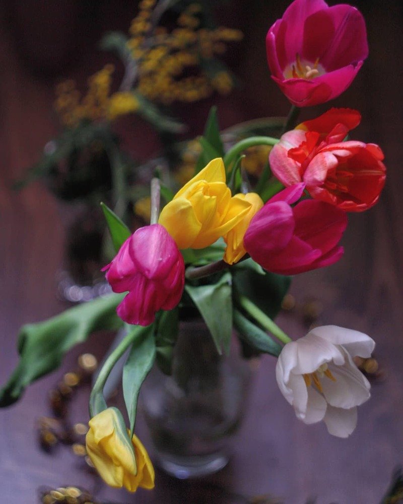 Photograph by Юлия Саморукова