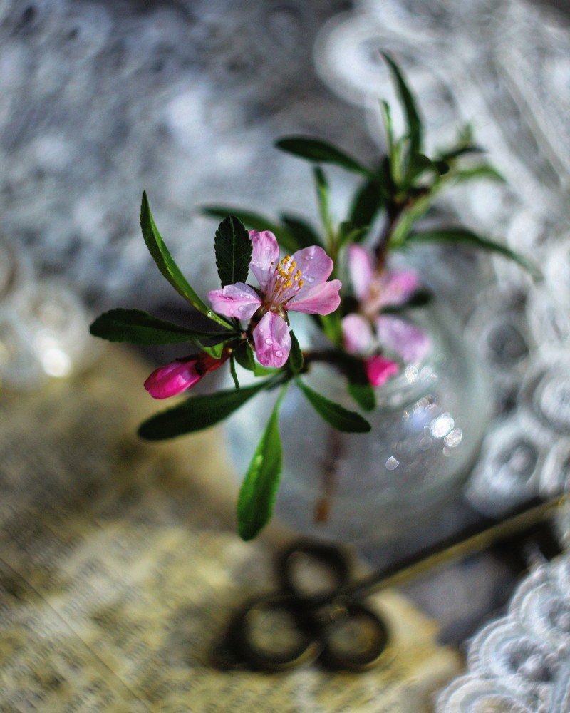 Photograph by Юлия Саморукова