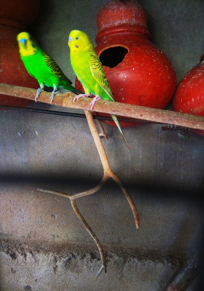 Фотография автора Parag Purkar