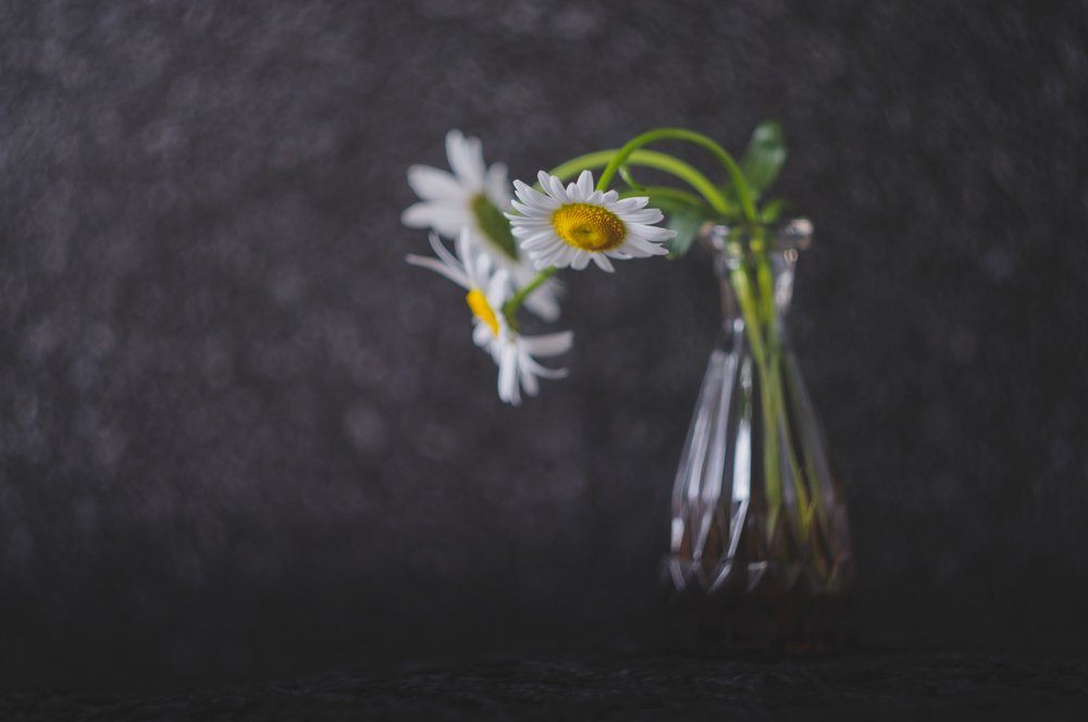 Photograph by Дмитрий Шадрин