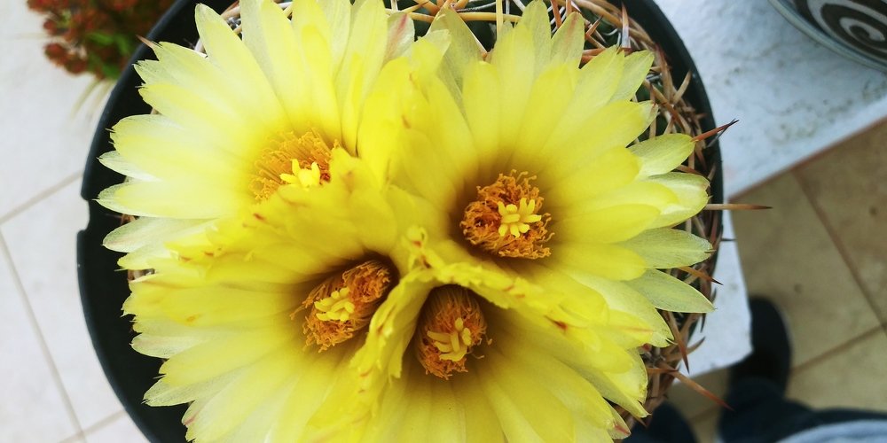 Photo #4878586