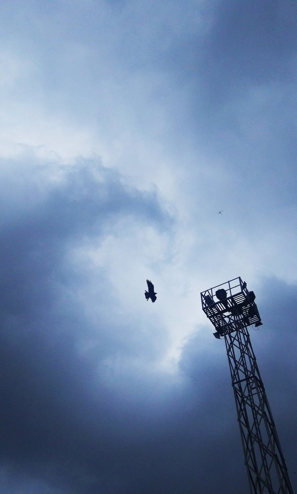 Фотография автора Parag Purkar