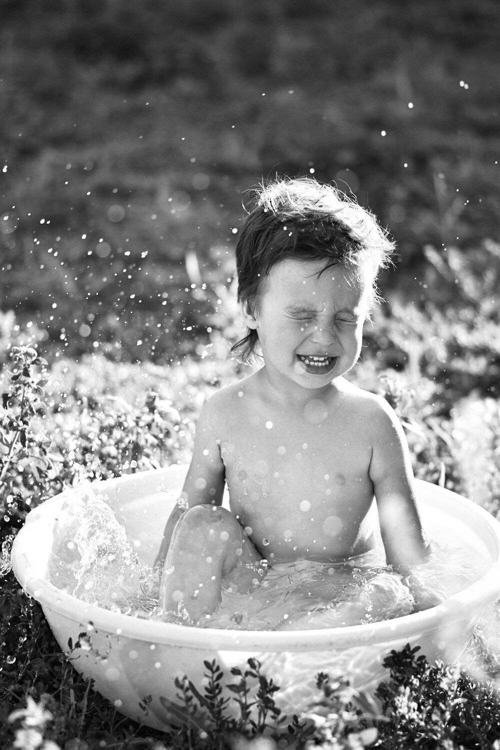 Photo #4878603