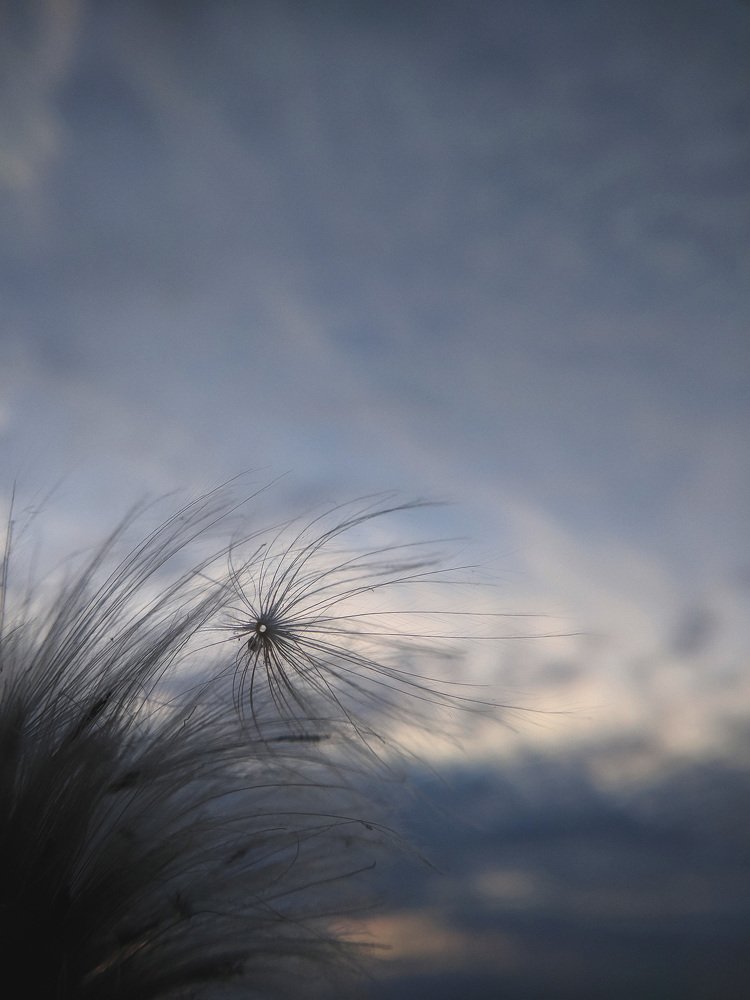 Photograph by Алексей и Юлия Дарьины