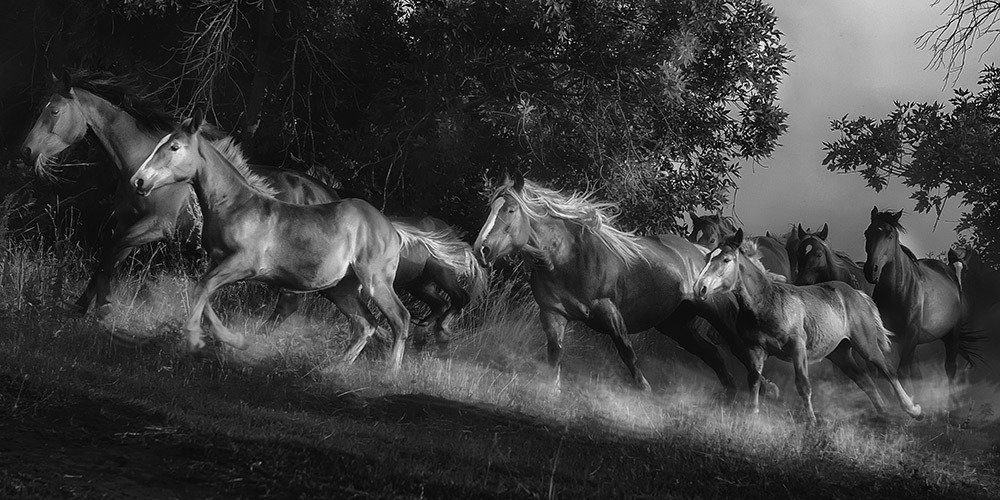 Photograph by Валентин Александров