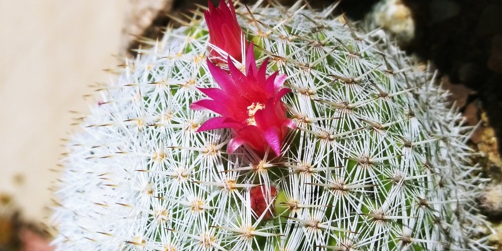 Photo #4878626
