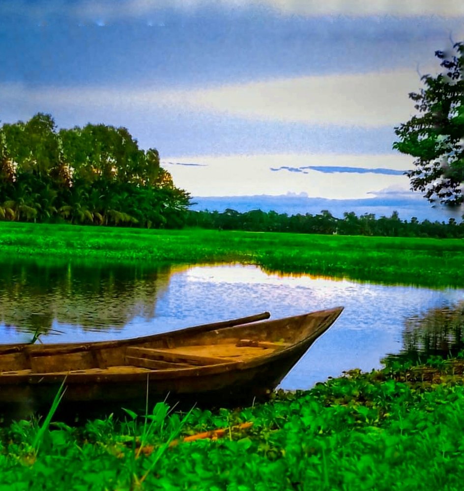 পরন্ত বিকেলে