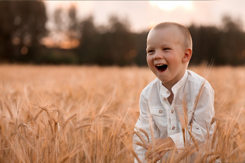 Закат в поле