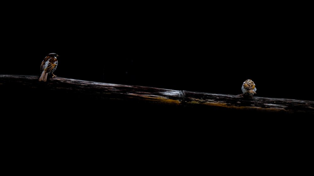 Good Morning Conversation